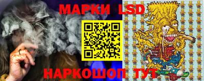 гидра Рязань