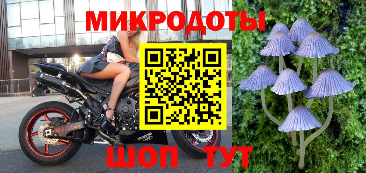 Псилоцибиновые грибы прущие грибы Мурманск