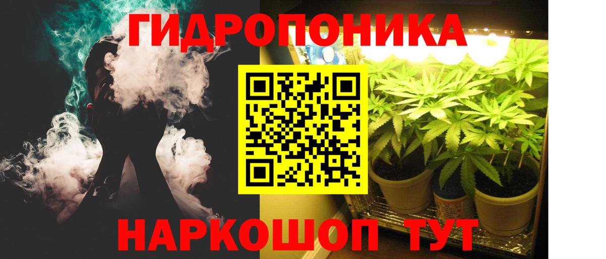Канабис Bruce Banner Мурманск